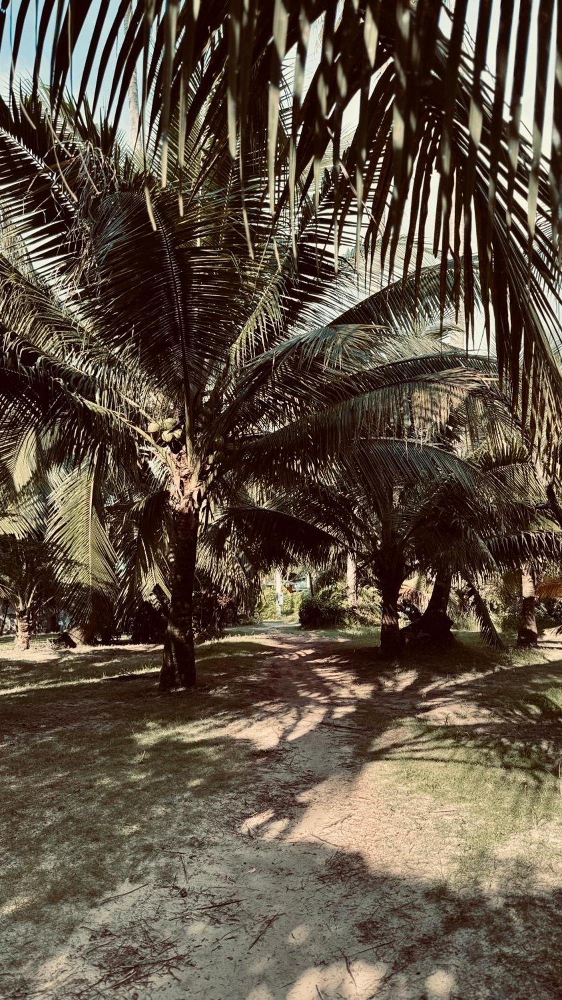 Suan Maprao Ko Kut Resort Exterior photo